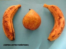 poema entre parentesis cortesia nel amaro courtesy from the artist to klauss van damme all rights reserved vegap